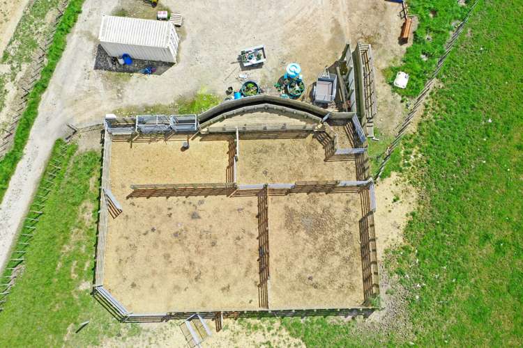 537 Tennent Drive Linton_13