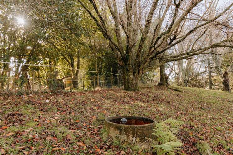 1164 Maniatutu Road Pongakawa_30