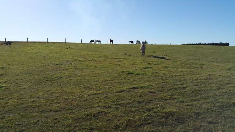 830 Oxford Road Fernside_7