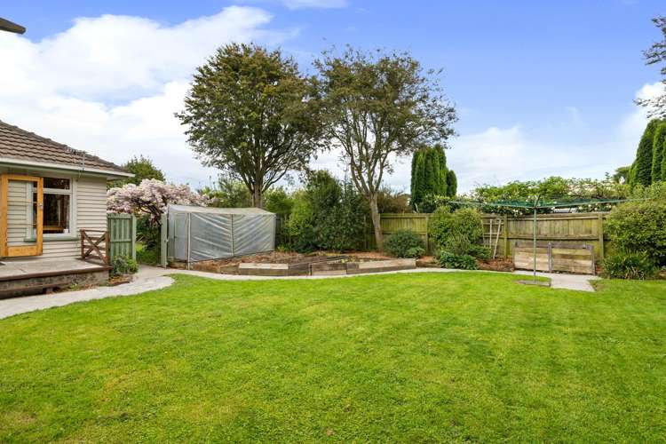 58a Conway Street Somerfield_22