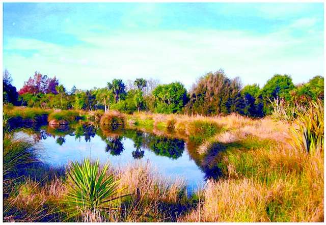 Rule change will  spur   wetland revival