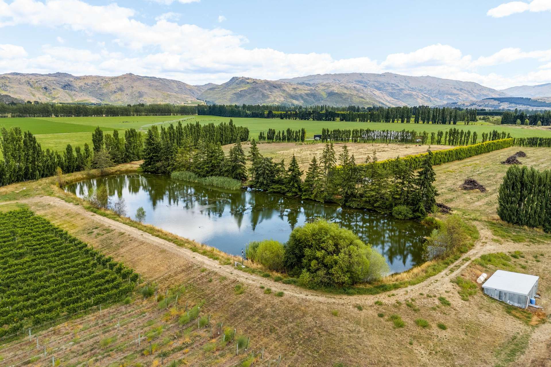 89 McPherson Road, Earnscleugh Alexandra_0