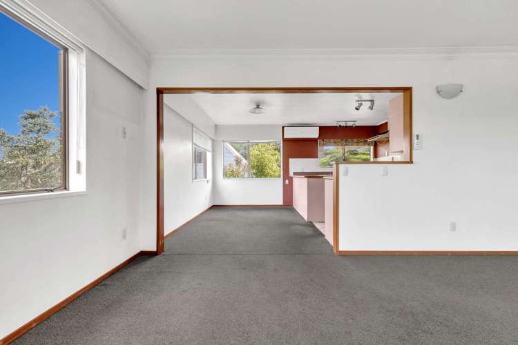 82 Greerton Road Gate Pa_10