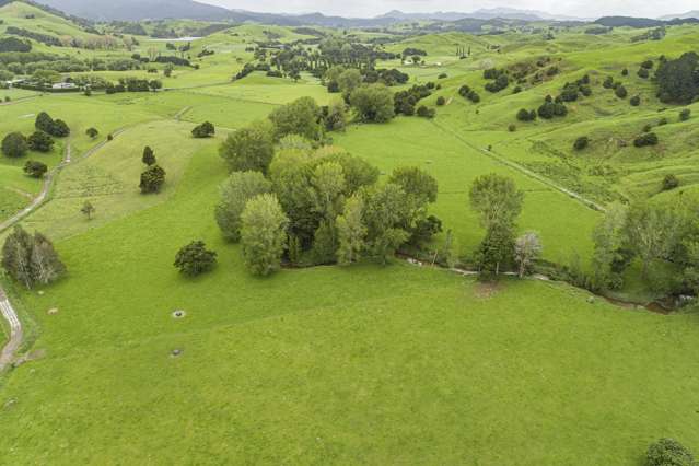 1371 Waihue Road Dargaville Surrounds_3