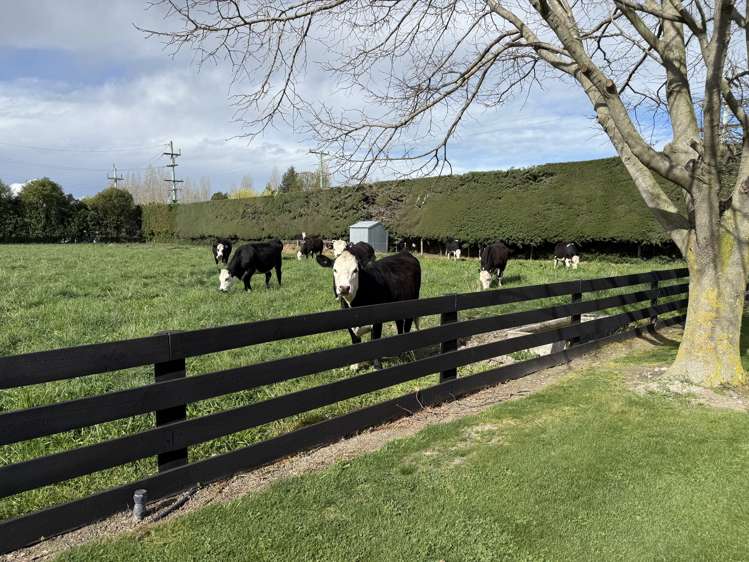 82 Gartartan Road Tinwald_21