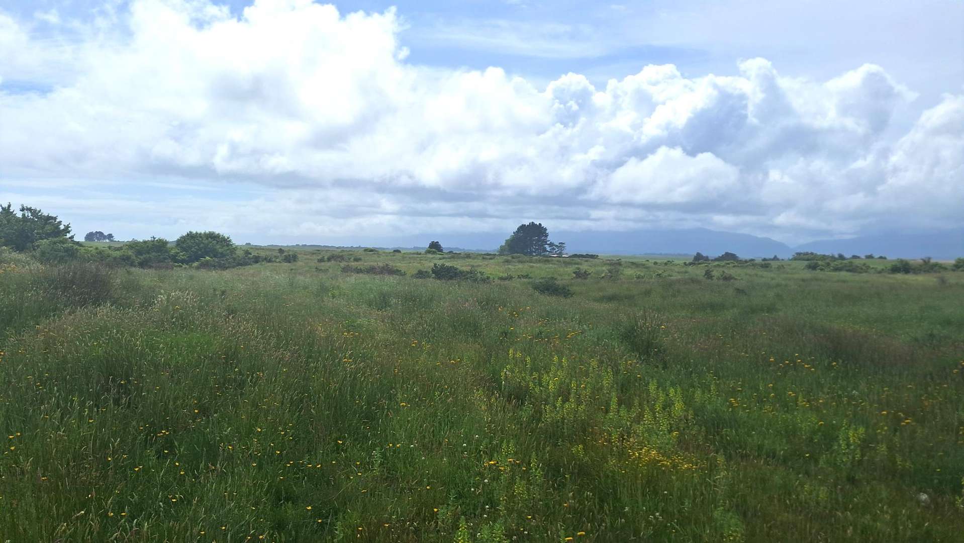 980 Wilsons Lead Road Cape Foulwind_0