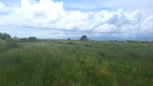 Dairy/Dry Stock Support Block