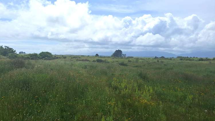 980 Wilsons Lead Road_0