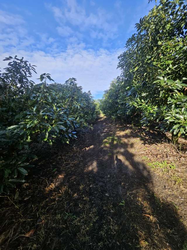 Heath Road Waiharara_2