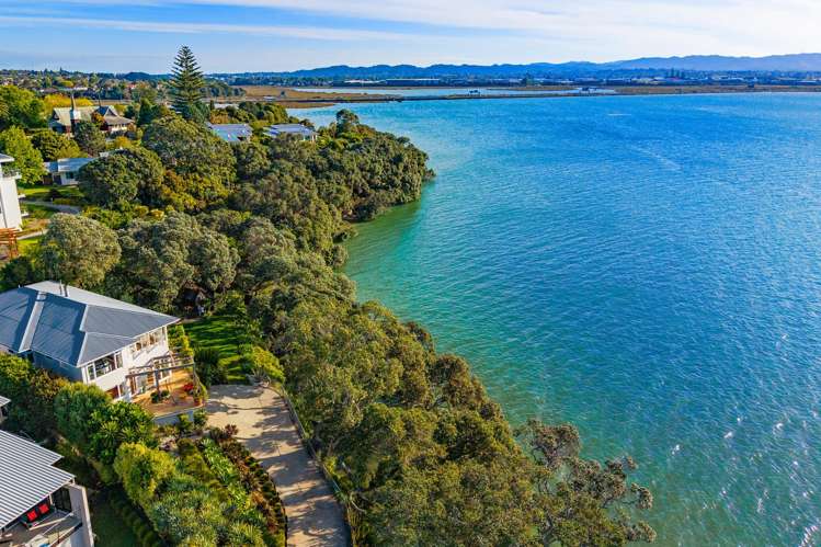 76 St Michaels Avenue Point Chevalier_10