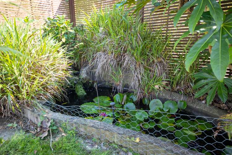 531 Milner Road Glen Oroua_13