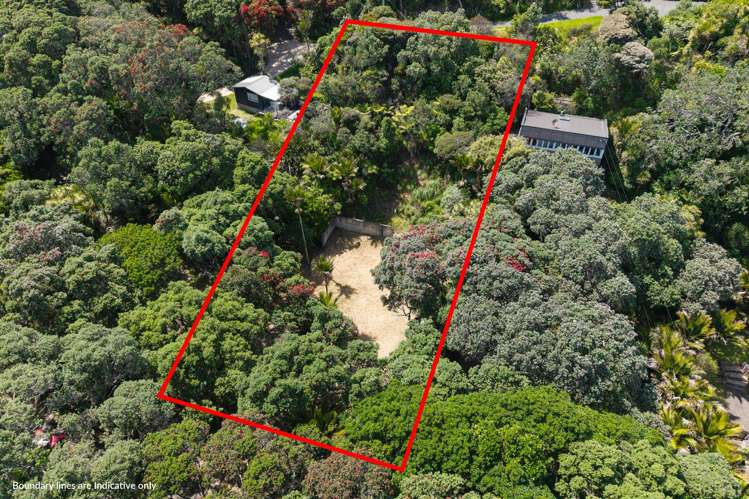 48 Beach Valley Road Piha_7