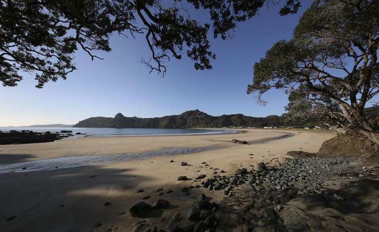 1025 Taupo Bay Road Taupo Bay/Totara North_14