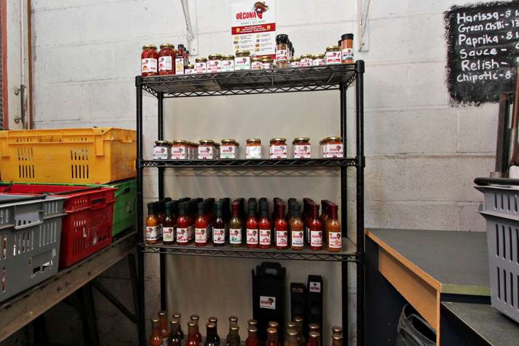 1829 Pakowhai Road Pakowhai_16