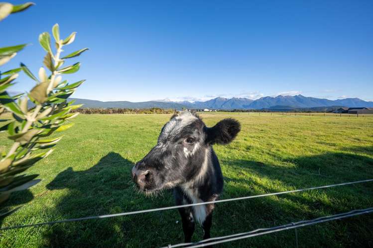 73 Holmwood Road Manapouri_32