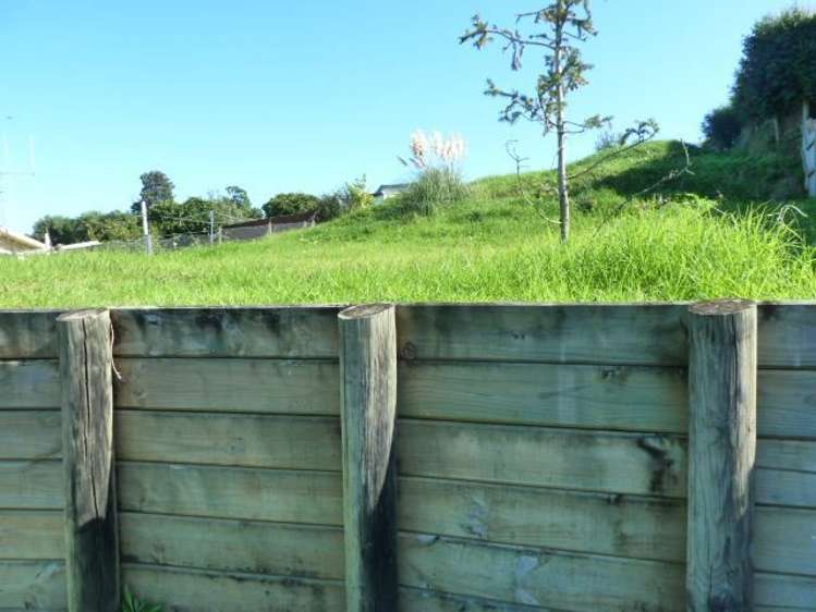 137 Herewaka Street Thames_9