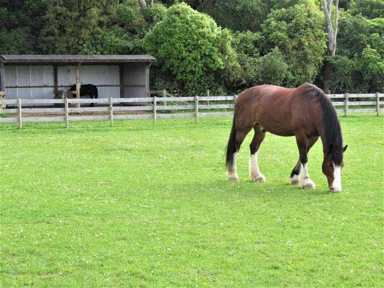 207 Takapu Road Manakau_15