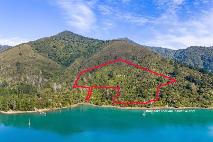 Lots 1 and 5 Nydia Bay Nydia Bay_30