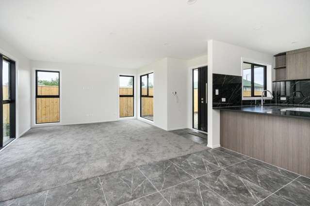 103A Featherston Street Takaro_4