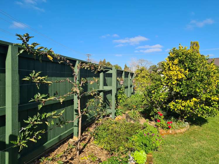 15 Driving Creek Road Coromandel_13