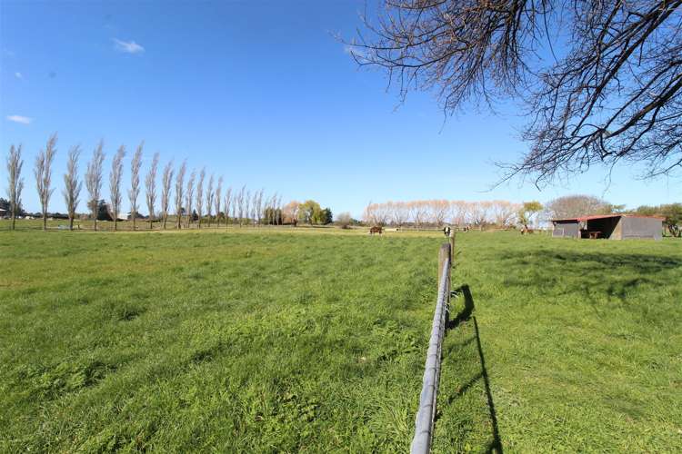 297 Oamaru-Alma Road Alma_18