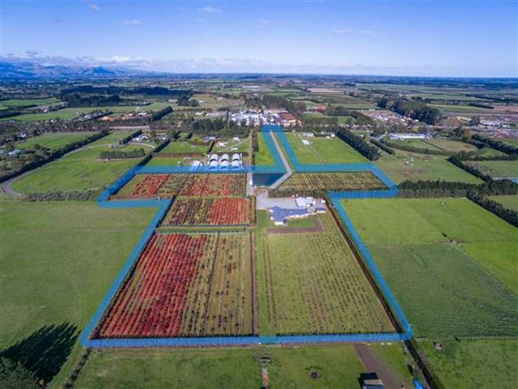 528 Jones Road Rolleston_1