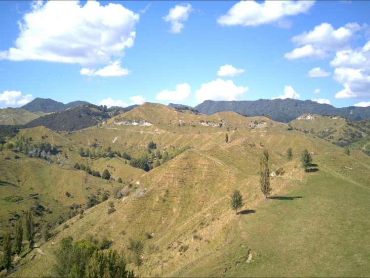 637 Makakahi Road Ruatiti_21