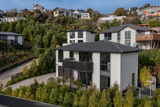 29 Brugh Place Andersons Bay_2