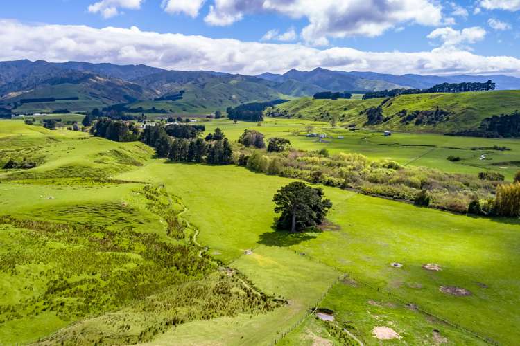 507 Valley Road Woodville_9