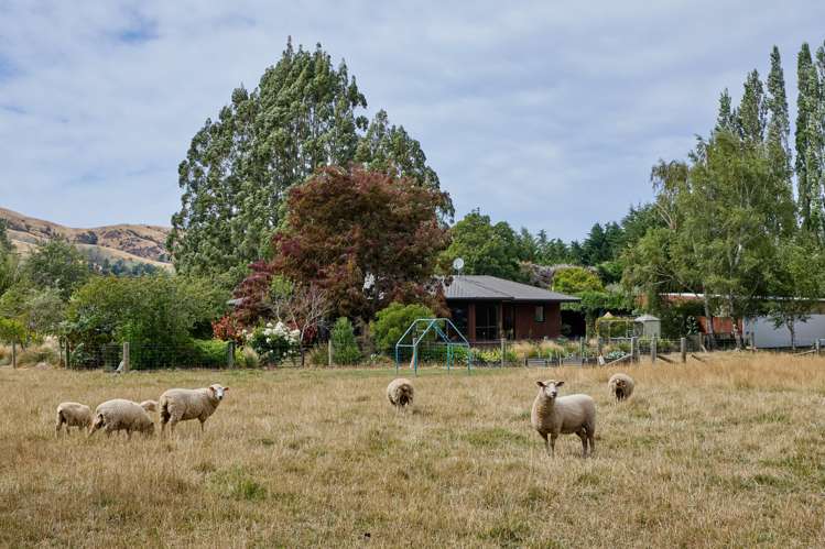 22 Reeves Street Cheviot_6