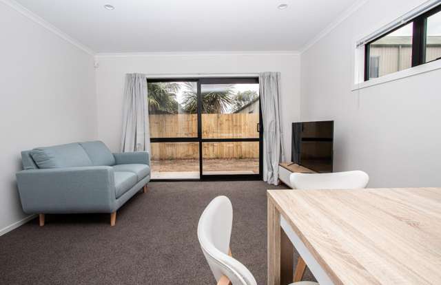 8/17 Lyon Street 1067_2