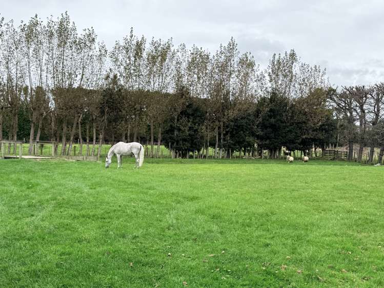 28 Arcus Road Te Horo_44