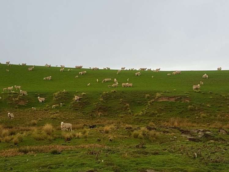 1680 Mahinerangi Road Waipori_24