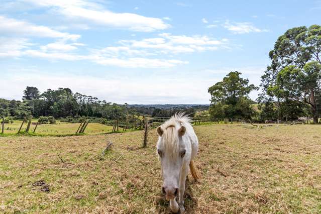 74 Coulter Road Henderson Valley_4