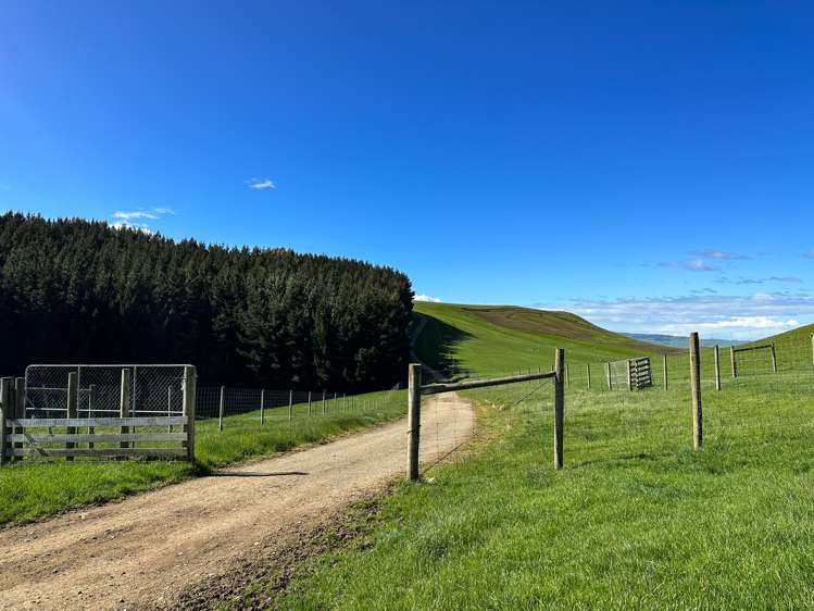 30 Frazer Road Gore Surrounds_5