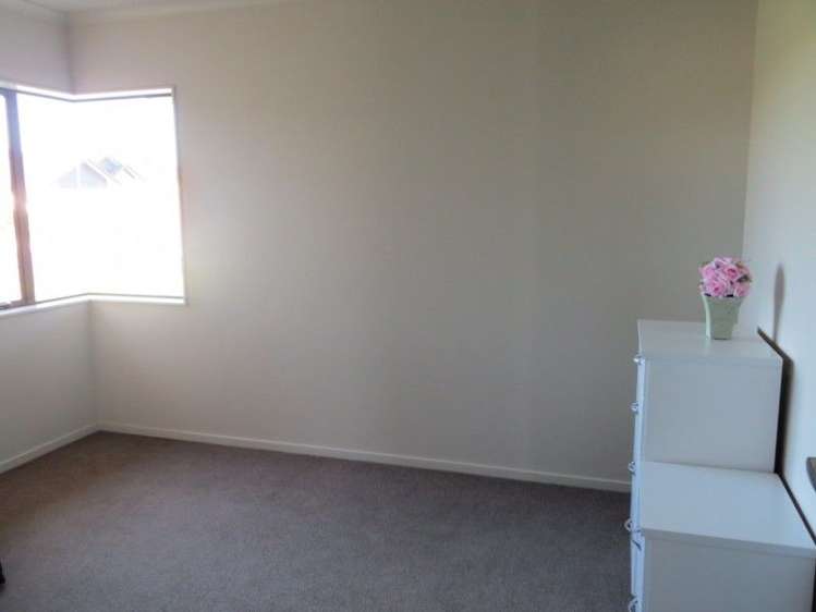 24 Vogel Place Te Aroha_18