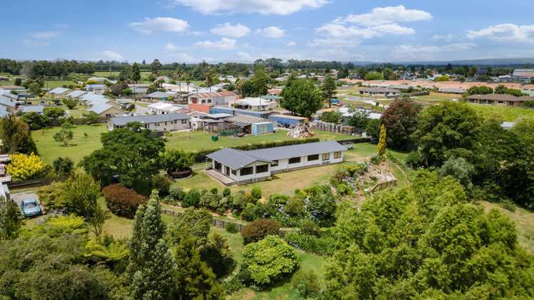 18c Binnie Road Katikati_19
