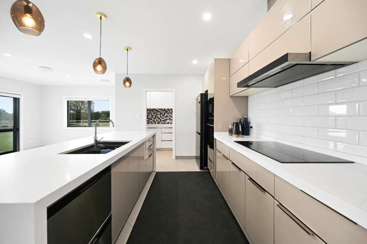 233a Raynes Road 11384_17