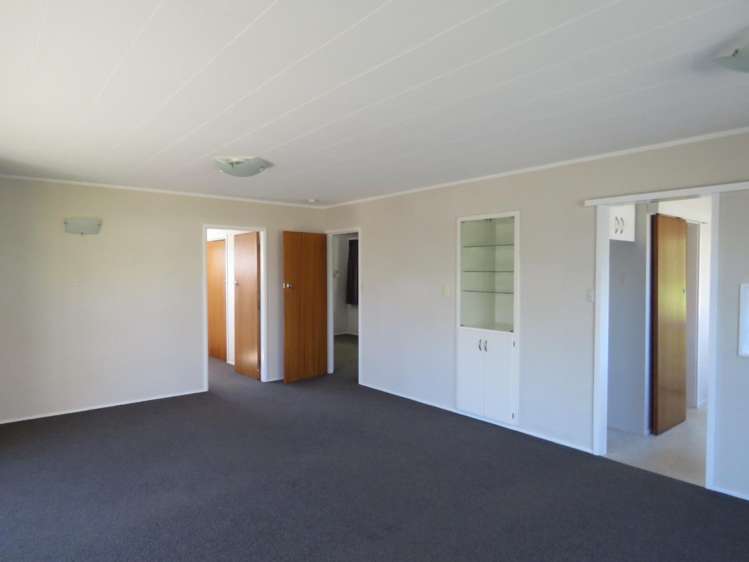 19b Norman Street Vogeltown_3