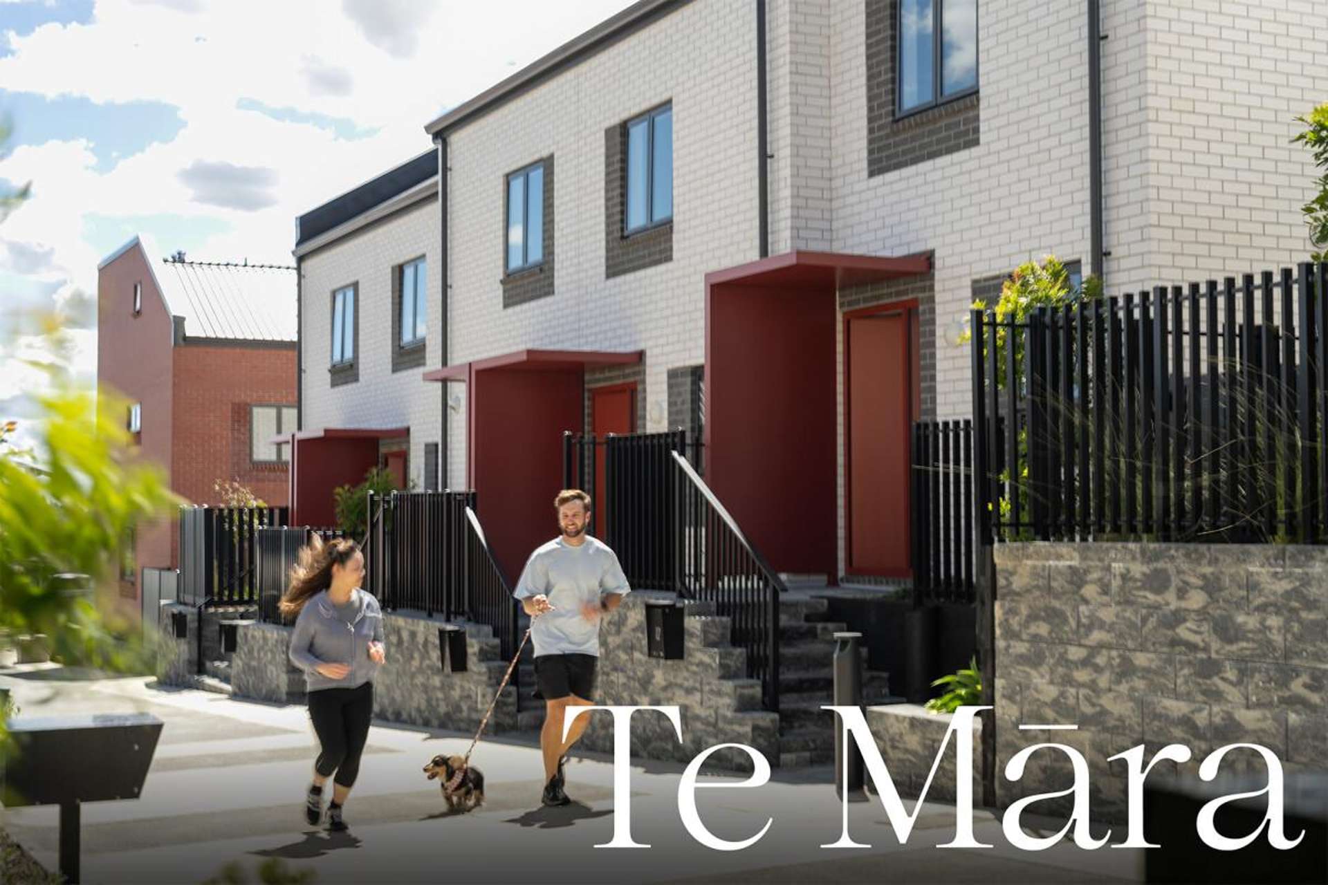 73 Freeland Avenue Mount Roskill_0