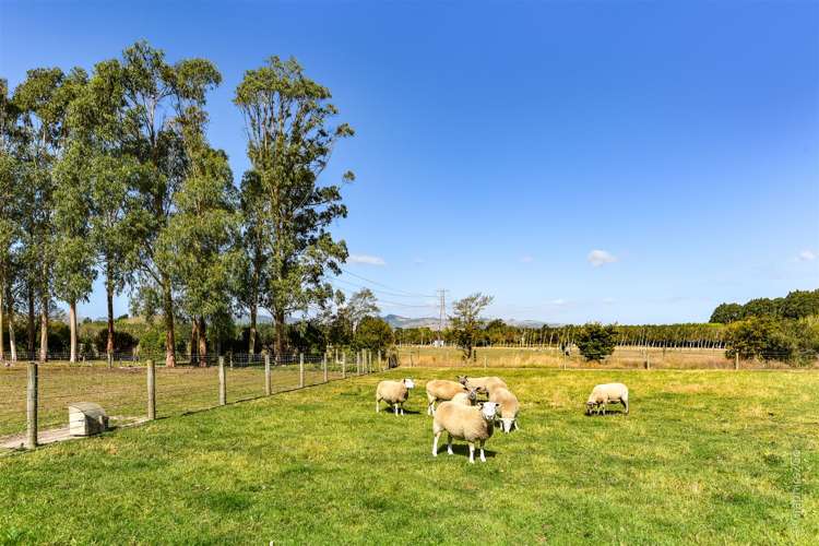 471 Springs Road Prebbleton_43