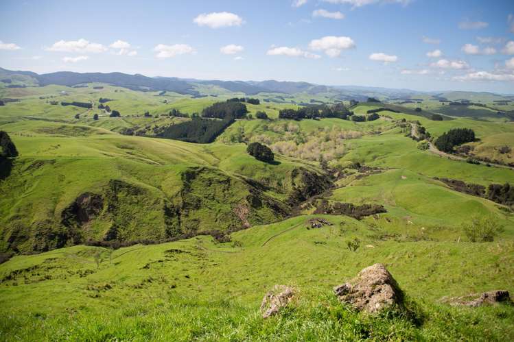 1921 Weber Road Dannevirke_5