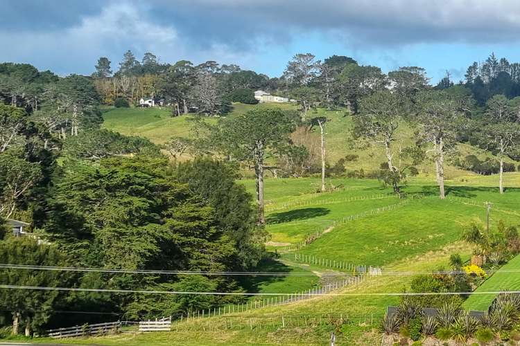 384 Pine Valley Road Dairy Flat_46