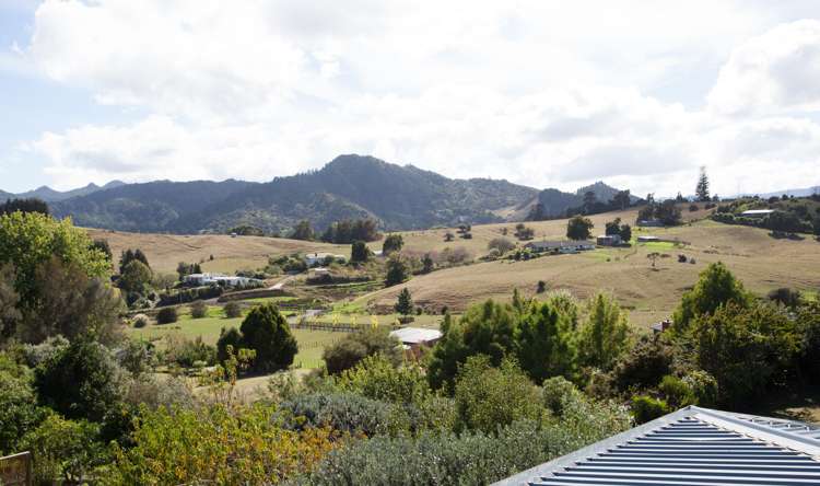 25 Sawmill Road Thames_23