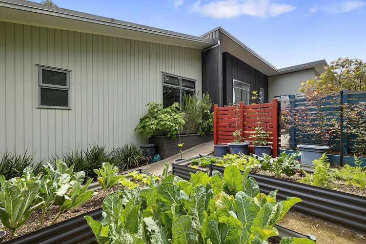 6A Roto Street Westown_23