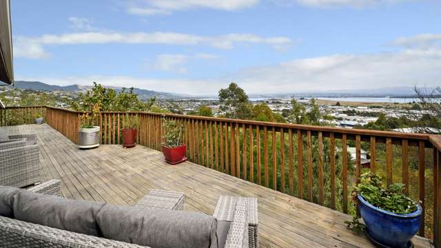 3 Kamahi Way Tahunanui_1