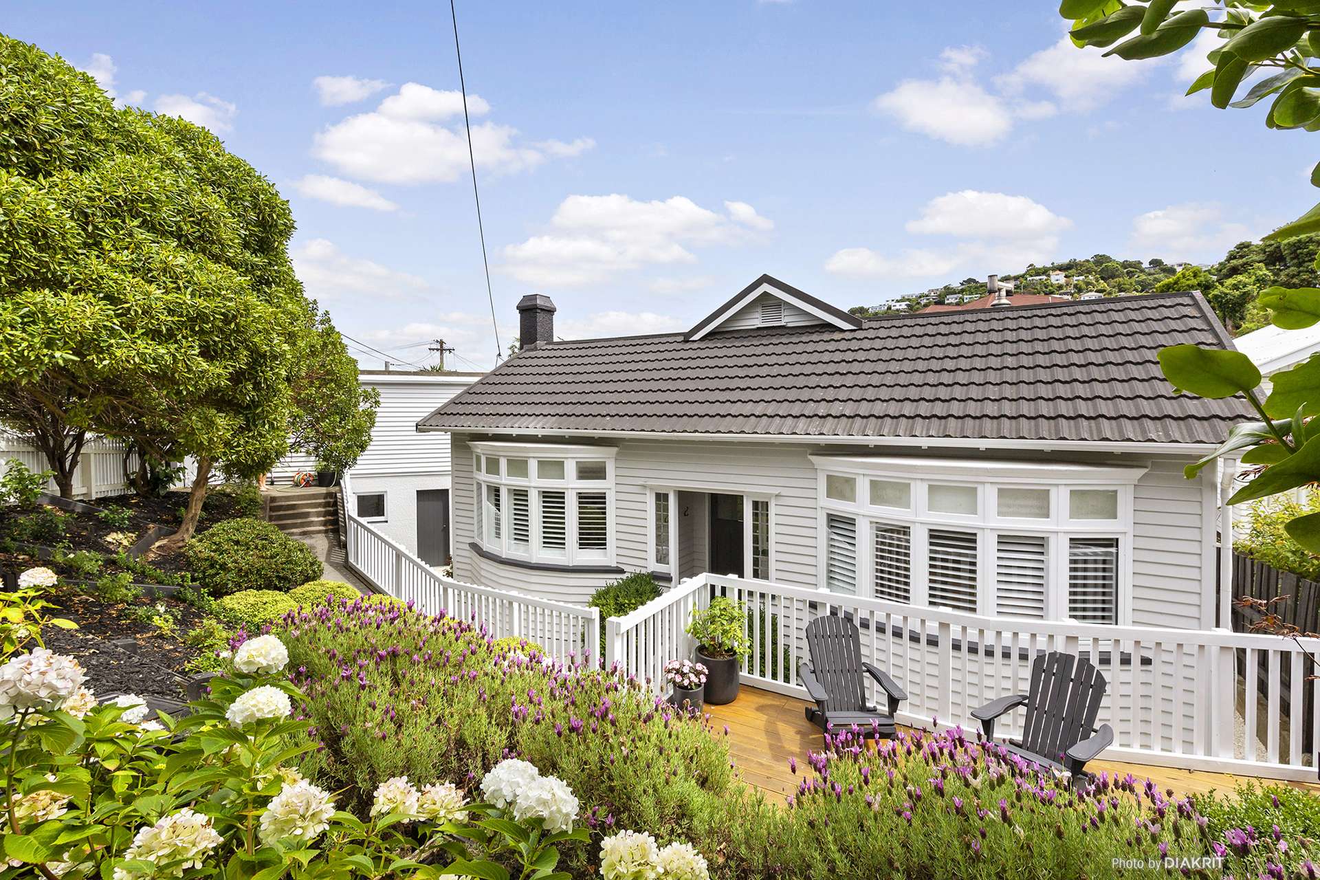 20 Waipapa Road Hataitai_0