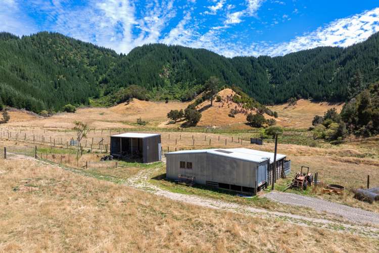 407 Onamalutu Road Wairau Valley_46