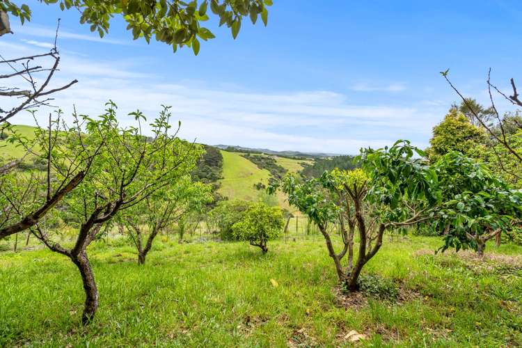 503 Matapouri Road Tutukaka_29