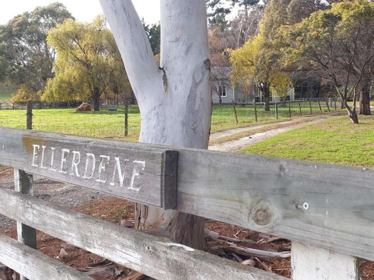 285 Grassmere Road Lake Grassmere_36